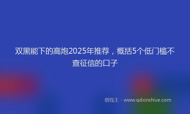 双黑能下的高炮2025年推荐，概括5个低门槛不查征信的口子