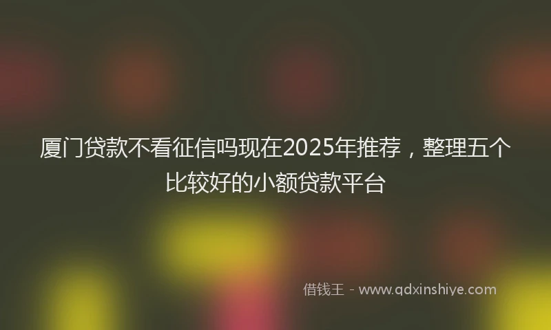厦门贷款不看征信吗现在2025年推荐，整理五个比较好的小额贷款平台