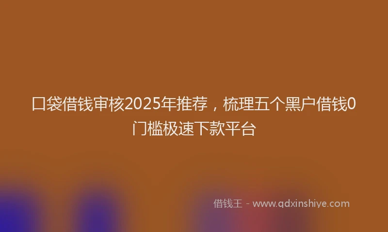 口袋借钱审核2025年推荐，梳理五个黑户借钱0门槛极速下款平台