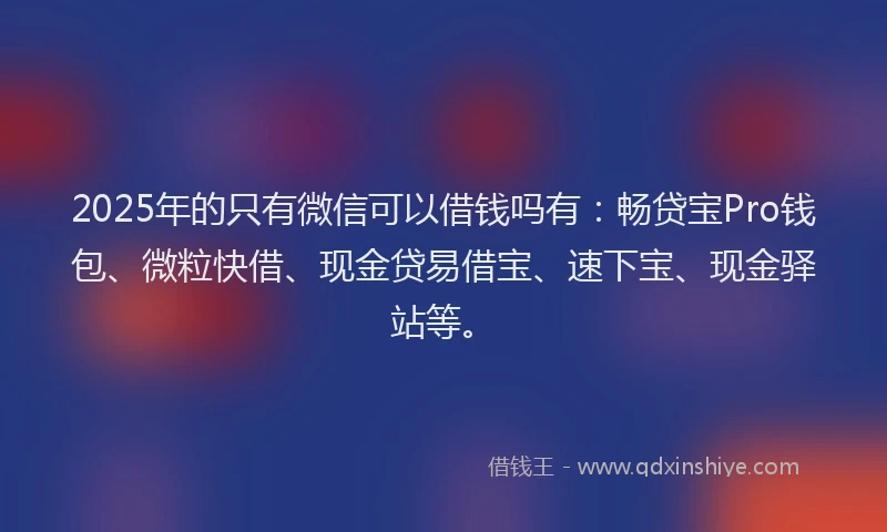 2025年的只有微信可以借钱吗有：畅贷宝Pro钱包、微粒快借、现金贷易借宝、速下宝、现金驿站等。