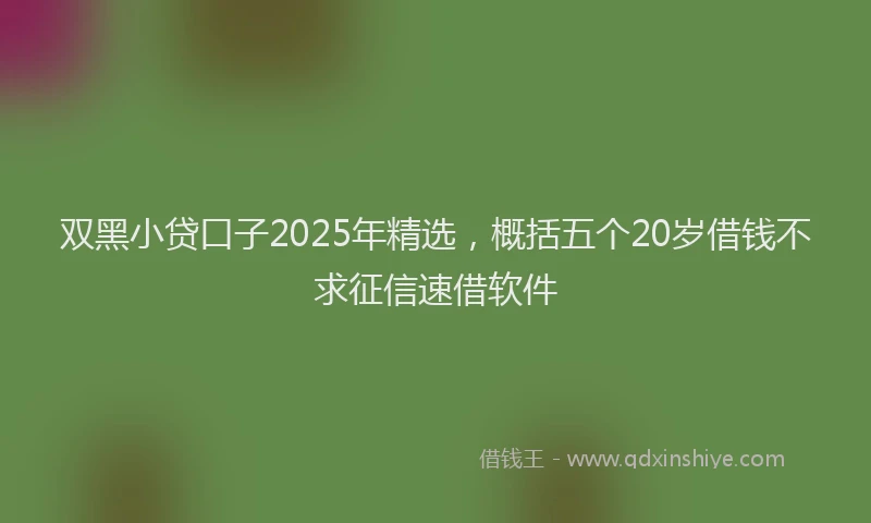 双黑小贷口子2025年精选，概括五个20岁借钱不求征信速借软件