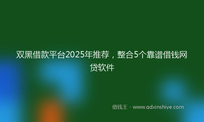 双黑借款平台2025年推荐，整合5个靠谱借钱网贷软件