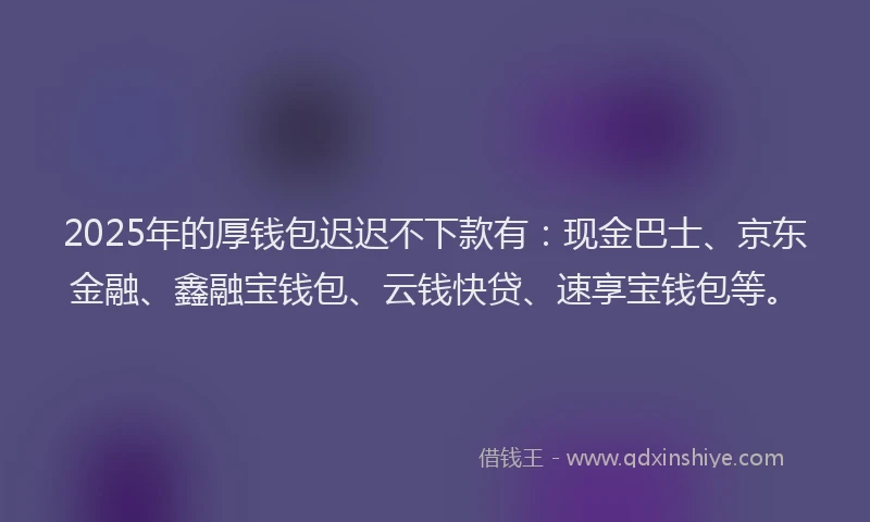 2025年的厚钱包迟迟不下款有：现金巴士、京东金融、鑫融宝钱包、云钱快贷、速享宝钱包等。