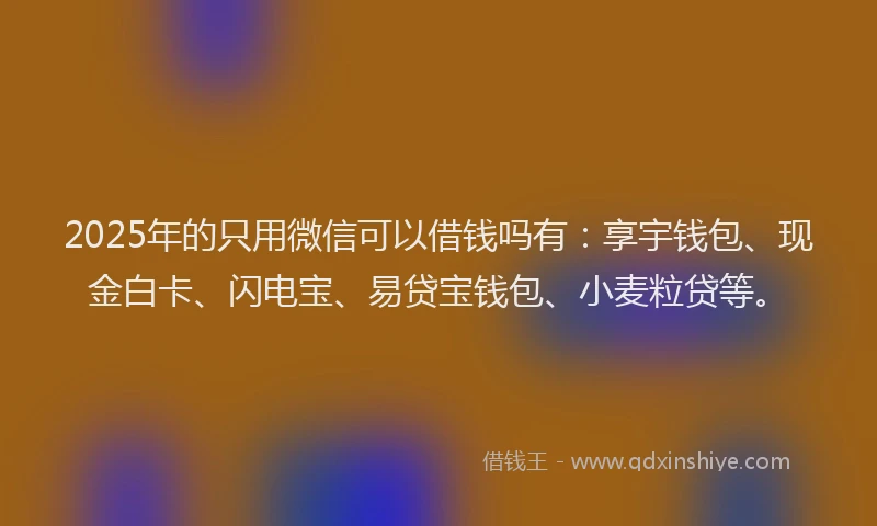 2025年的只用微信可以借钱吗有：享宇钱包、现金白卡、闪电宝、易贷宝钱包、小麦粒贷等。