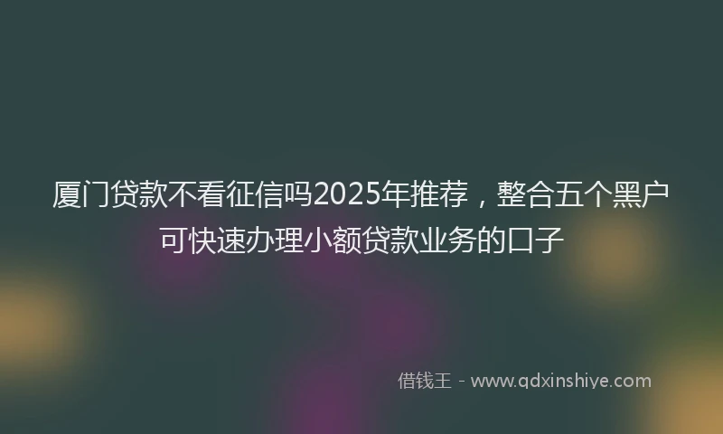 厦门贷款不看征信吗2025年推荐，整合五个黑户可快速办理小额贷款业务的口子