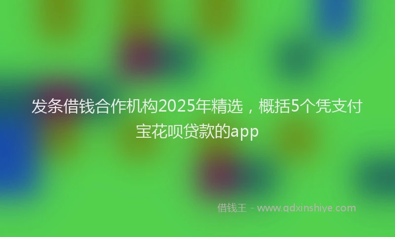 发条借钱合作机构2025年精选，概括5个凭支付宝花呗贷款的app