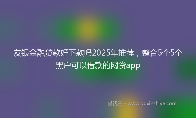 友银金融贷款好下款吗2025年推荐，整合5个5个黑户可以借款的网贷app