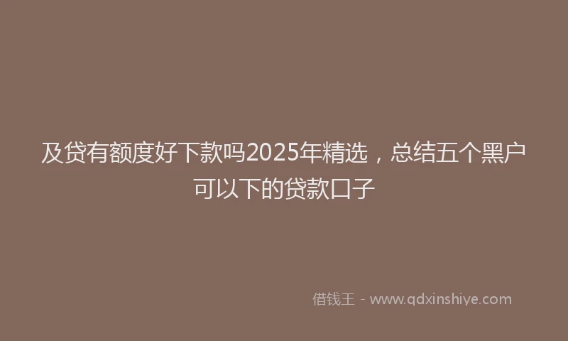 及贷有额度好下款吗2025年精选，总结五个黑户可以下的贷款口子