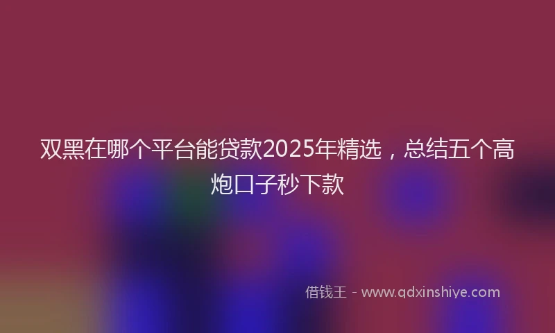 双黑在哪个平台能贷款2025年精选，总结五个高炮口子秒下款