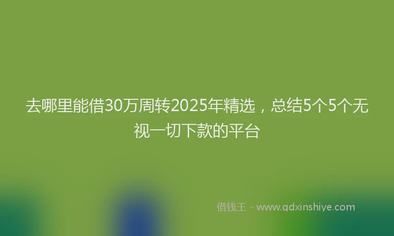 去哪里能借30万周转2025年精选，总结5个5个无视一切下款的平台