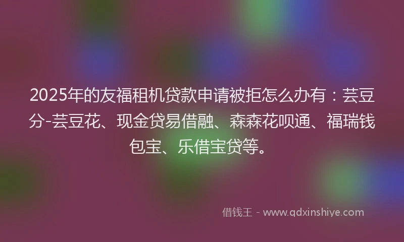 2025年的友福租机贷款申请被拒怎么办有：芸豆分-芸豆花、现金贷易借融、森森花呗通、福瑞钱包宝、乐借宝贷等。
