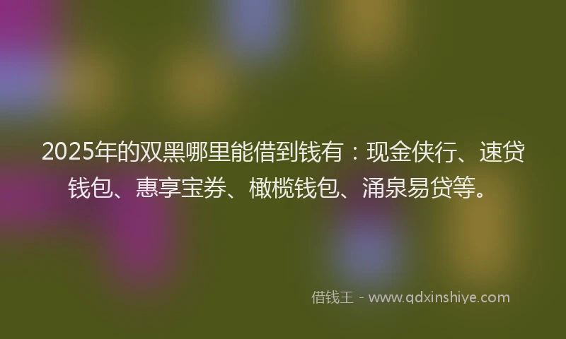 2025年的双黑哪里能借到钱有：现金侠行、速贷钱包、惠享宝券、橄榄钱包、涌泉易贷等。