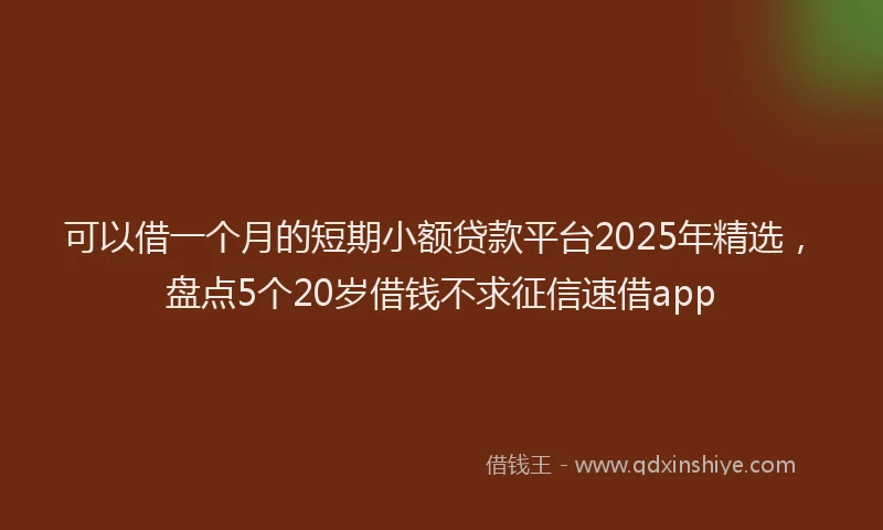 可以借一个月的短期小额贷款平台2025年精选，盘点5个20岁借钱不求征信速借app