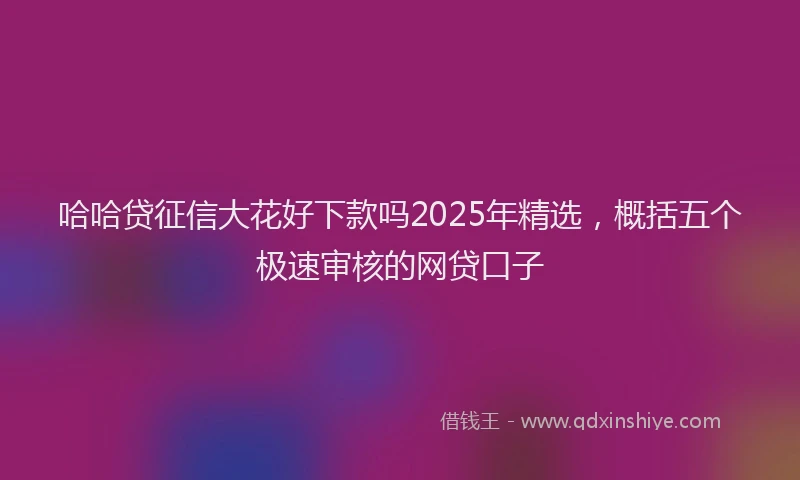 哈哈贷征信大花好下款吗2025年精选，概括五个极速审核的网贷口子