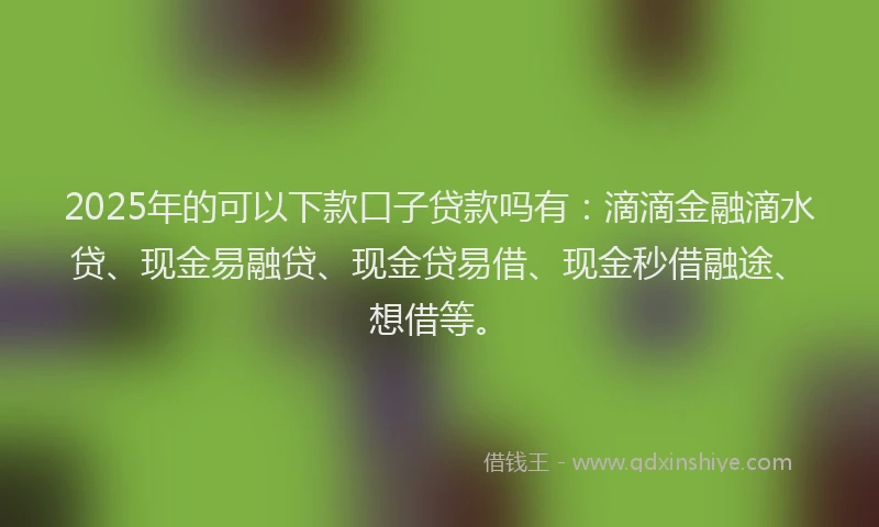2025年的可以下款口子贷款吗有：滴滴金融滴水贷、现金易融贷、现金贷易借、现金秒借融途、想借等。