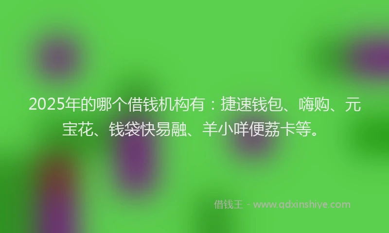 2025年的哪个借钱机构有：捷速钱包、嗨购、元宝花、钱袋快易融、羊小咩便荔卡等。