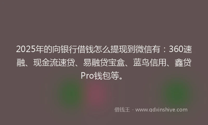 2025年的向银行借钱怎么提现到微信有：360速融、现金流速贷、易融贷宝盒、蓝鸟信用、鑫贷Pro钱包等。