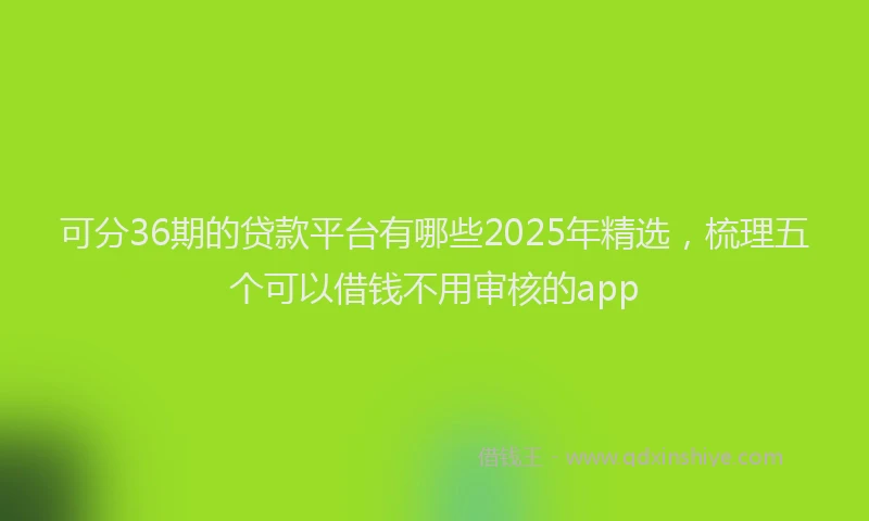 可分36期的贷款平台有哪些2025年精选，梳理五个可以借钱不用审核的app