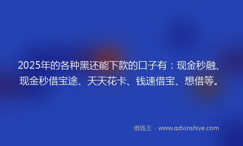 2025年的各种黑还能下款的口子有：现金秒融、现金秒借宝途、天天花卡、钱速借宝、想借等。