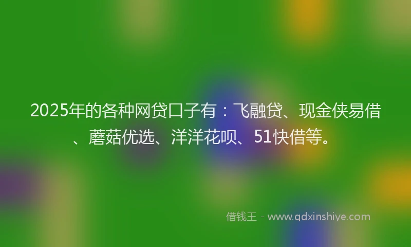 2025年的各种网贷口子有：飞融贷、现金侠易借、蘑菇优选、洋洋花呗、51快借等。