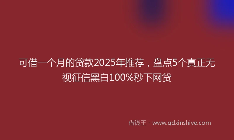 可借一个月的贷款2025年推荐，盘点5个真正无视征信黑白100%秒下网贷