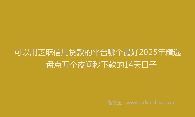 可以用芝麻信用贷款的平台哪个最好2025年精选，盘点五个夜间秒下款的14天口子