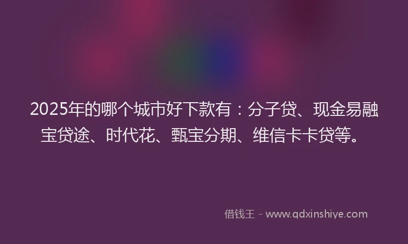 2025年的哪个城市好下款有：分子贷、现金易融宝贷途、时代花、甄宝分期、维信卡卡贷等。