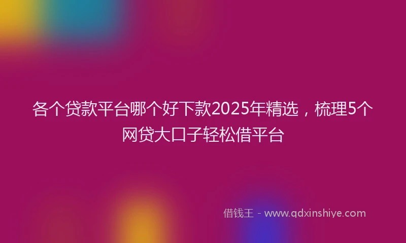 各个贷款平台哪个好下款2025年精选，梳理5个网贷大口子轻松借平台