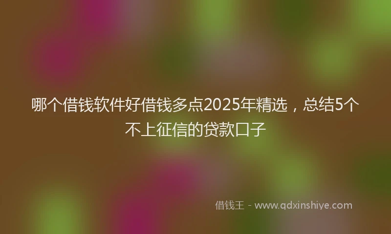 哪个借钱软件好借钱多点2025年精选，总结5个不上征信的贷款口子