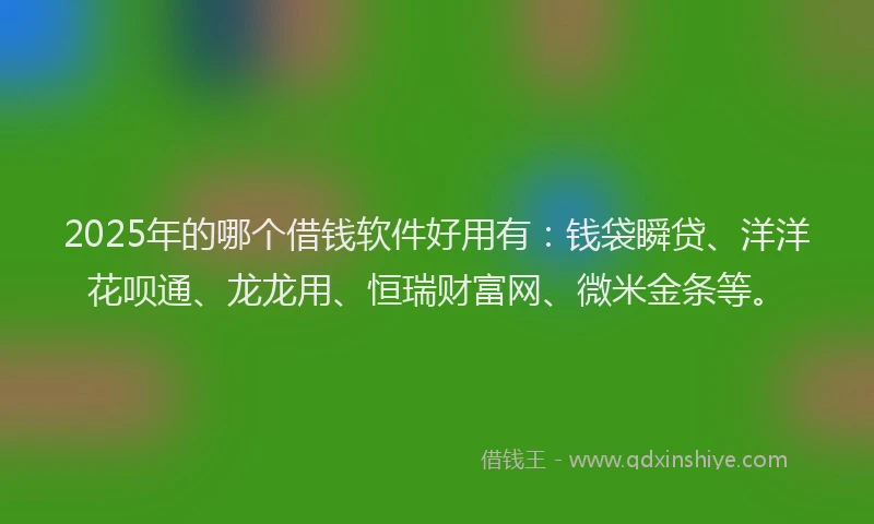 2025年的哪个借钱软件好用有：钱袋瞬贷、洋洋花呗通、龙龙用、恒瑞财富网、微米金条等。