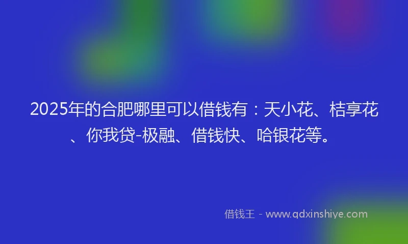 2025年的合肥哪里可以借钱有：天小花、桔享花、你我贷-极融、借钱快、哈银花等。