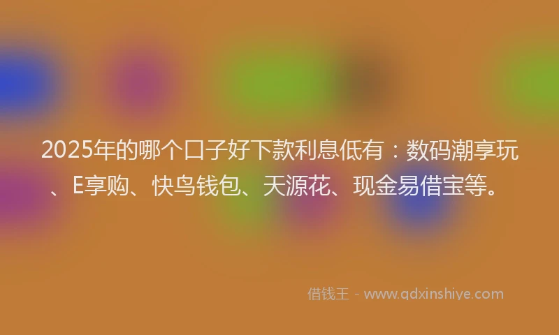 2025年的哪个口子好下款利息低有：数码潮享玩、E享购、快鸟钱包、天源花、现金易借宝等。