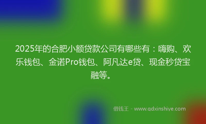 2025年的合肥小额贷款公司有哪些有：嗨购、欢乐钱包、金诺Pro钱包、阿凡达e贷、现金秒贷宝融等。