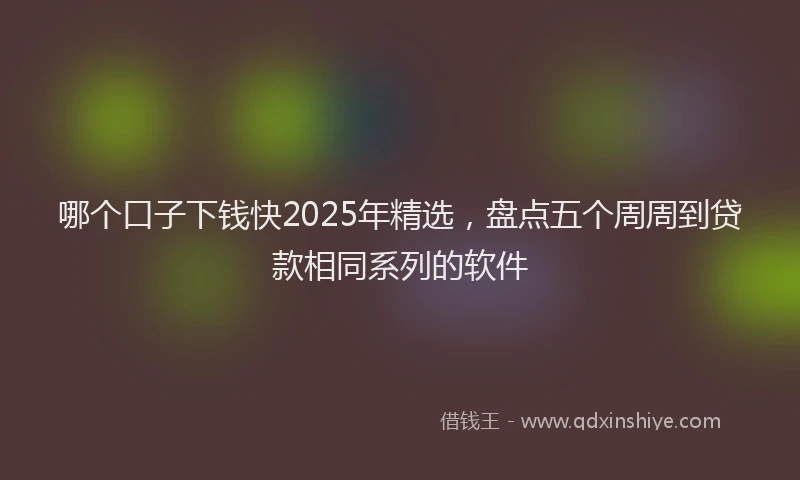 哪个口子下钱快2025年精选，盘点五个周周到贷款相同系列的软件