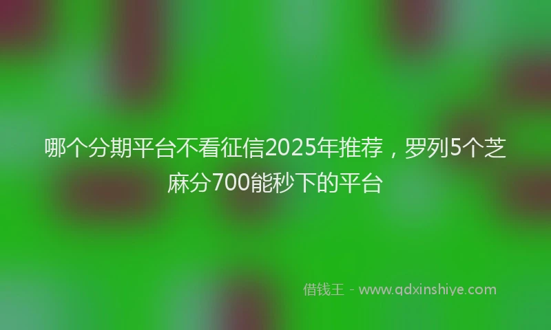 哪个分期平台不看征信2025年推荐，罗列5个芝麻分700能秒下的平台