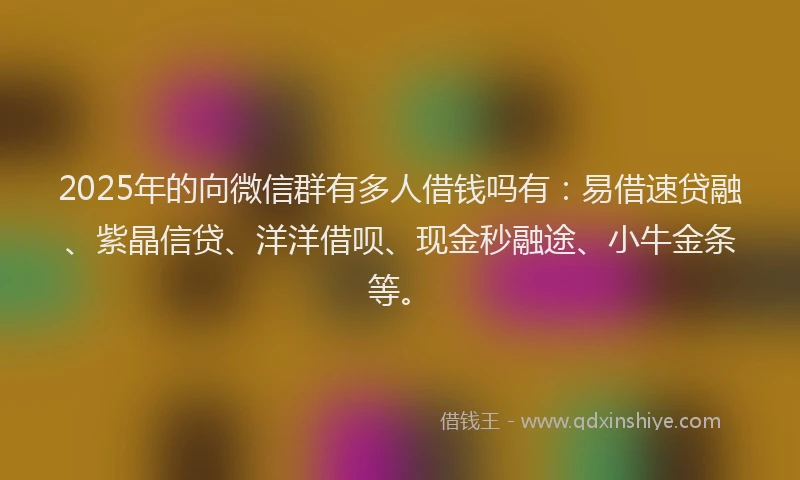 2025年的向微信群有多人借钱吗有：易借速贷融、紫晶信贷、洋洋借呗、现金秒融途、小牛金条等。