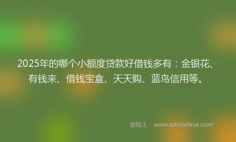 2025年的哪个小额度贷款好借钱多有：金银花、有钱来、借钱宝盒、天天购、蓝鸟信用等。