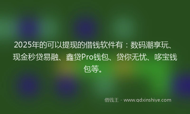 2025年的可以提现的借钱软件有：数码潮享玩、现金秒贷易融、鑫贷Pro钱包、贷你无忧、哆宝钱包等。
