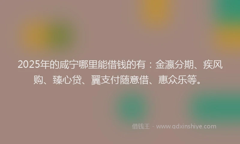 2025年的咸宁哪里能借钱的有：金瀛分期、疾风购、臻心贷、翼支付随意借、惠众乐等。