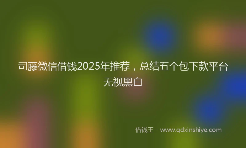 司藤微信借钱2025年推荐，总结五个包下款平台无视黑白