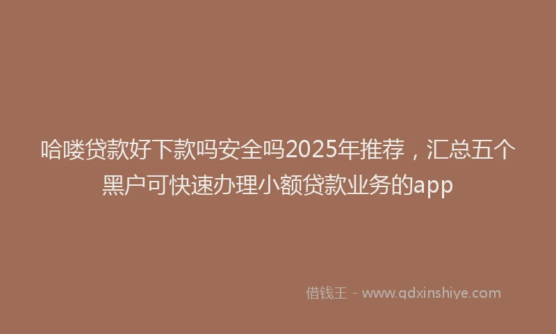 哈喽贷款好下款吗安全吗2025年推荐，汇总五个黑户可快速办理小额贷款业务的app