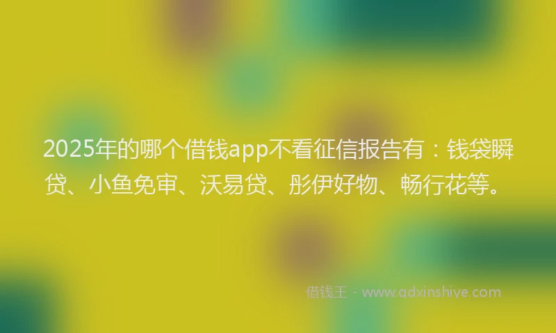 2025年的哪个借钱app不看征信报告有：钱袋瞬贷、小鱼免审、沃易贷、彤伊好物、畅行花等。