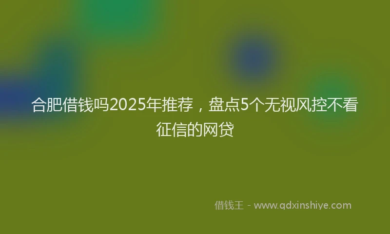 合肥借钱吗2025年推荐，盘点5个无视风控不看征信的网贷