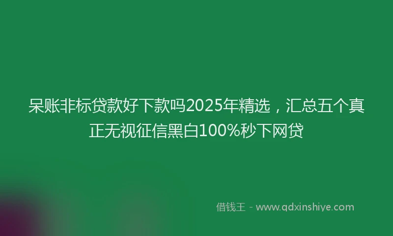 呆账非标贷款好下款吗2025年精选，汇总五个真正无视征信黑白100%秒下网贷