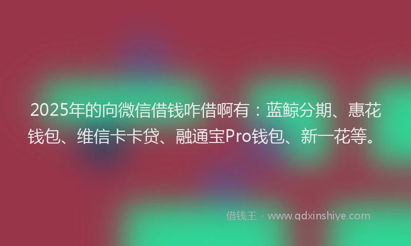 2025年的向微信借钱咋借啊有：蓝鲸分期、惠花钱包、维信卡卡贷、融通宝Pro钱包、新一花等。