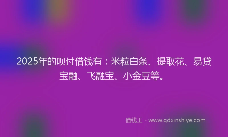 2025年的呗付借钱有：米粒白条、提取花、易贷宝融、飞融宝、小金豆等。