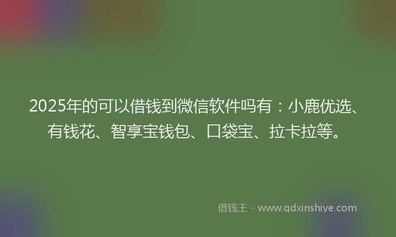 2025年的可以借钱到微信软件吗有：小鹿优选、有钱花、智享宝钱包、口袋宝、拉卡拉等。