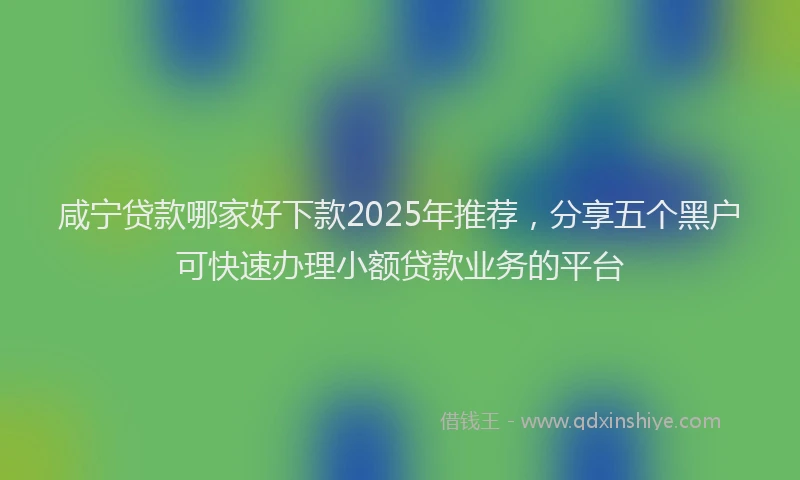 咸宁贷款哪家好下款2025年推荐，分享五个黑户可快速办理小额贷款业务的平台