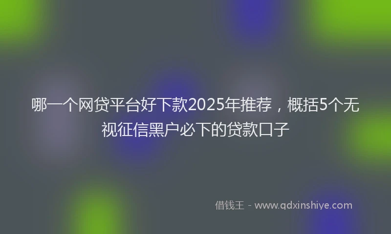 哪一个网贷平台好下款2025年推荐，概括5个无视征信黑户必下的贷款口子