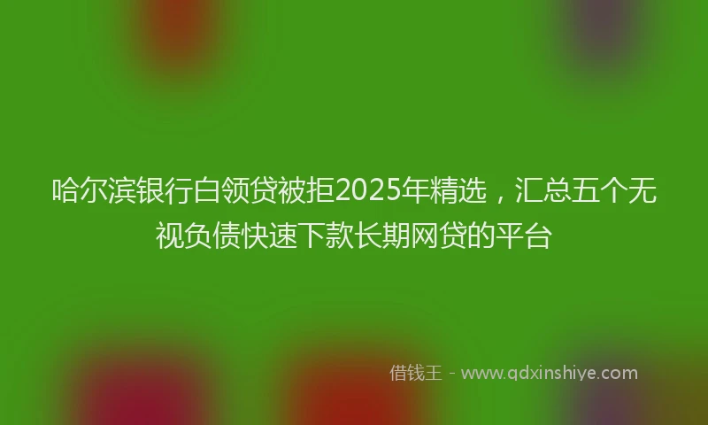 哈尔滨银行白领贷被拒2025年精选，汇总五个无视负债快速下款长期网贷的平台